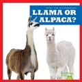 Cover: Llama or Alpaca? - Bullfrog Books