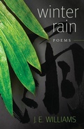 Cover: Winter Rain - Irie Books