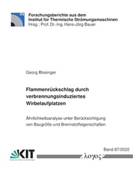 Abbildung von: Flammenrückschlag durch verbrennungsinduziertes Wirbelaufplatzen. - Logos Berlin