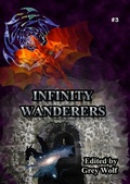 Cover: Infinity Wanderers 3 - Selornia