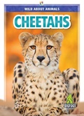 Cover: Cheetahs - Kaleidoscope Publishing, Inc