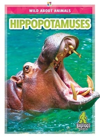 Enlarge image Cover: Hippopotamuses - Kaleidoscope Publishing, Inc