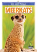 Cover: Meerkats - Kaleidoscope Publishing, Inc