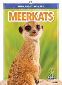 Enlarge image Cover: Meerkats - Kaleidoscope Publishing, Inc