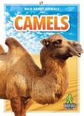 Cover: Camels - Kaleidoscope Publishing, Inc