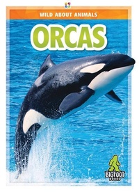 Enlarge image Cover: Orcas - Kaleidoscope Publishing, Inc