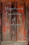 Cover: Magnificent Possibility of Confusion - Nebojsa Zeljic