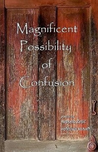 Enlarge image Cover: Magnificent Possibility of Confusion - Nebojsa Zeljic
