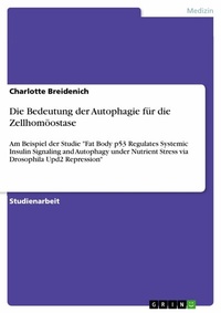Abbildung von: Die Bedeutung der Autophagie für die Zellhomöostase - GRIN Verlag