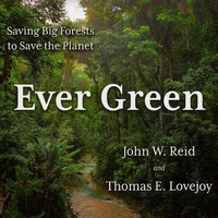 Enlarge image Cover: Ever Green - HighBridge Audio