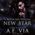 Cover: A Nothing Special New Year - Tantor Audio