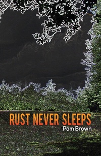 Enlarge image Cover: Rust Never Sleeps - Austin Macauley Publishers