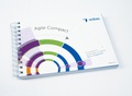 Cover: Agile Compact - wibas GmbH