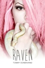 Cover: Raven - Badger Learning
