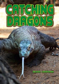 Enlarge image Cover: Catching Dragons - Badger Learning