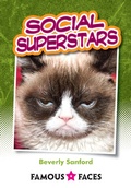 Cover: Social Superstars - Badger Learning
