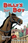Cover: Billy's Boy - Badger Learning