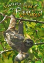 Cover: Amazing Animals of the Rainforest - Badger Learning