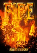 Cover: Fire - Badger Learning