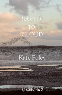 Enlarge image Cover: Saved to Cloud - Arachne Press