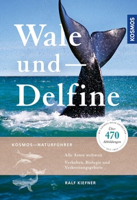 Abbildung von: Wale und Delfine - Kosmos