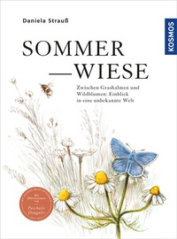 Abbildung von: Sommerwiese - Kosmos