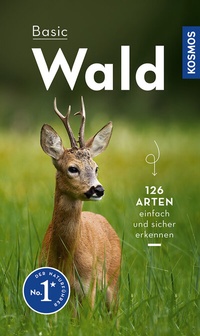 Abbildung von: Basic Wald - Kosmos