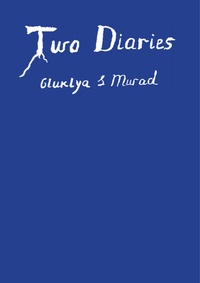 Abbildung von: Two Diaries. Gluklya & Murad - König, Walther