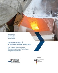 Abbildung von: Energieflexibilität in der deutschen Industrie - Fraunhofer Verlag