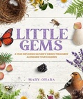 Cover: Little Gems - HT22 Publishing