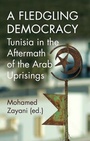 Cover: A Fledgling Democracy - Hurst Publishers