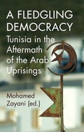 Cover: A Fledgling Democracy - Hurst Publishers