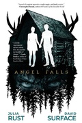 Cover: Angel Falls - Yap Books