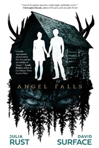 Enlarge image Cover: Angel Falls - Yap Books