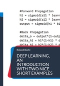 Cover: Deep Learning, an introduction with two nice short examples - Books on Demand
