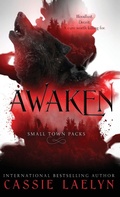 Cover: Awaken - Cassie Laelyn