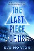Cover: The Last Piece of Us - NineStar Press, LLC