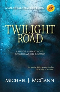 Enlarge image Cover: Twilight Road - Plaid Raccoon Press