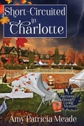 Cover: Short-Circuited in Charlotte - Beyond the Page Publishing