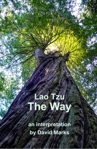 Enlarge image Cover: Way - Peaceful Dragon Press
