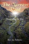 Cover: The Narrow Road - Christian Faith
