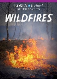 Enlarge image Cover: Wildfires - Rosen Young Adult