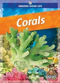 Cover: Corals - Kaleidoscope Publishing, Inc