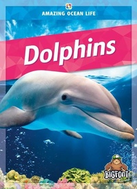 Enlarge image Cover: Dolphins - Kaleidoscope Publishing, Inc