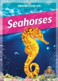 Cover: Seahorses - Kaleidoscope Publishing, Inc