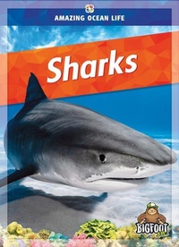 Enlarge image Cover: Sharks - Kaleidoscope Publishing, Inc