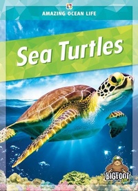 Enlarge image Cover: Sea Turtles - Kaleidoscope Publishing, Inc