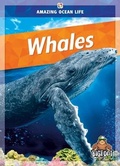 Cover: Whales - Kaleidoscope Publishing, Inc