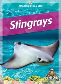Enlarge image Cover: Stingrays - Kaleidoscope Publishing, Inc