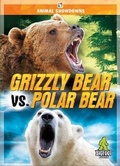 Cover: Grizzly Bear vs. Polar Bear - Bigfoot Books